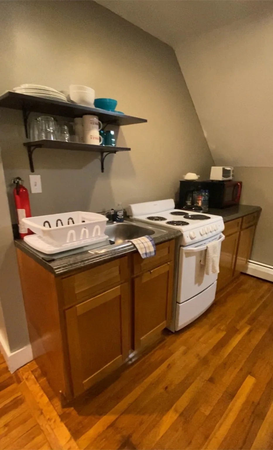 Private kitchen with stove and sink